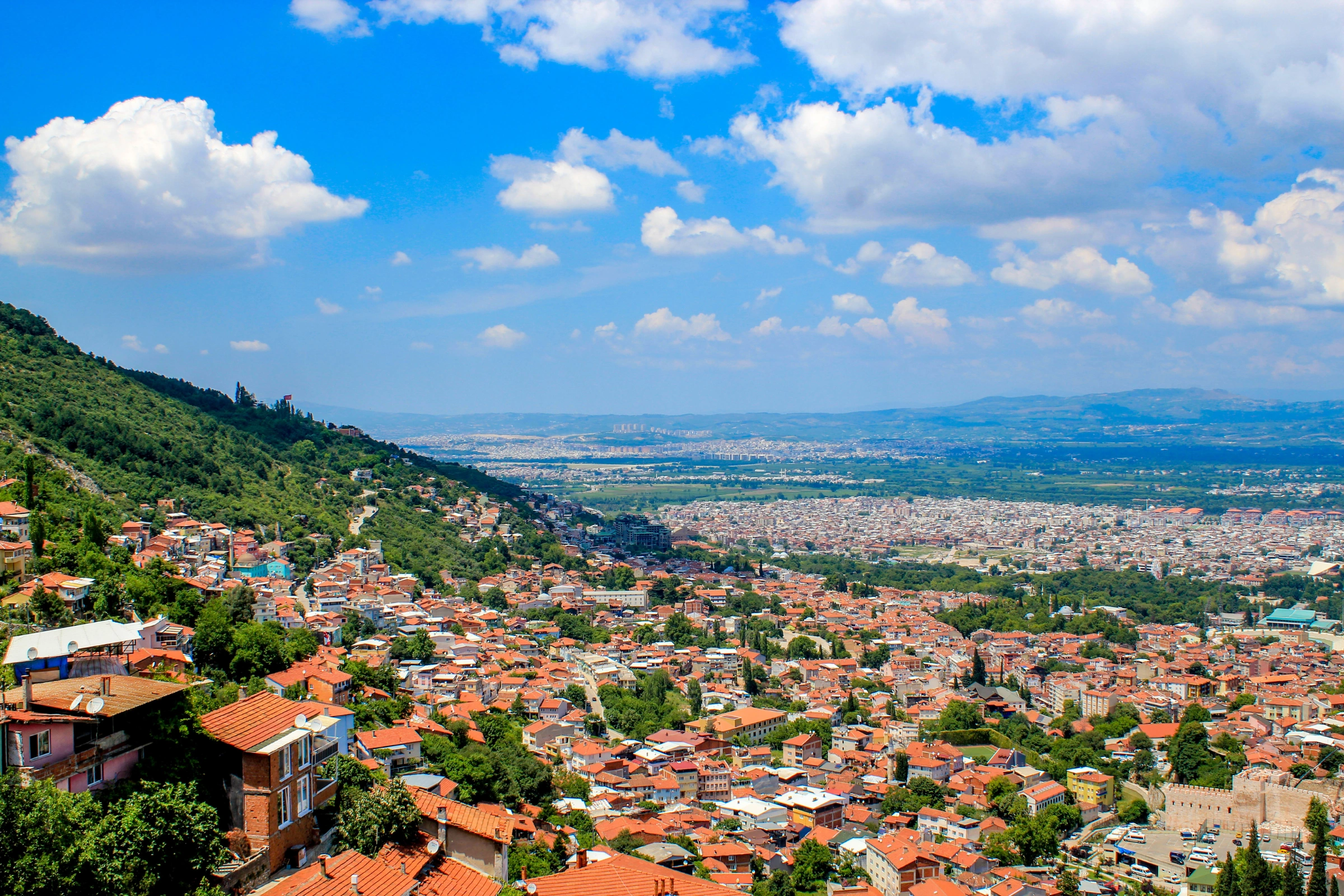 Bursa[1].webp